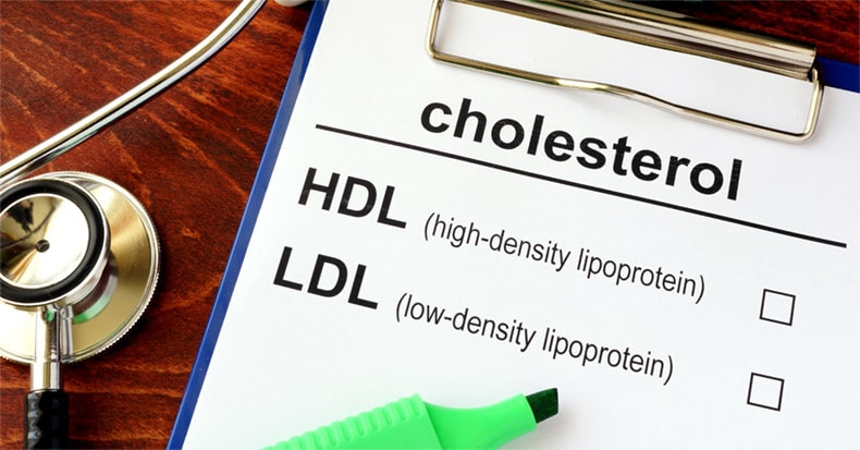 Which is Better: HIGH or LOW Cholesterol?